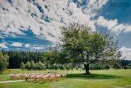 Kořenec Golf Resort