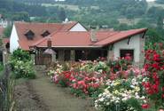 Pension Roseta