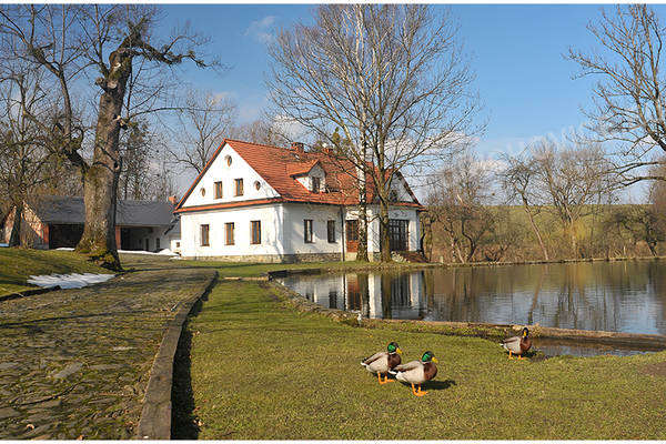 Fojství Odřichovice