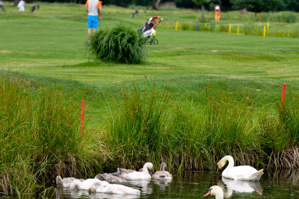 Golfový klub Hluboká nad Vltavou