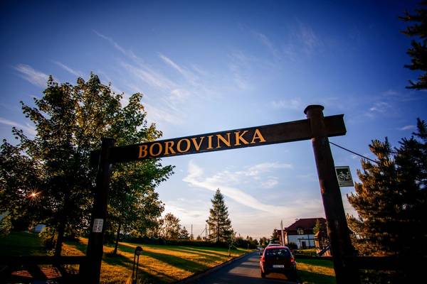 Borovinka