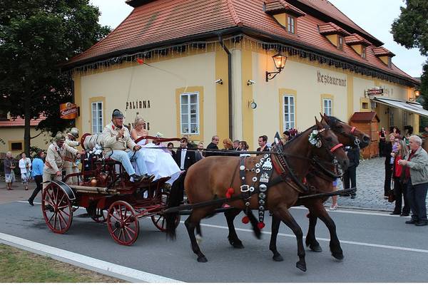 Pivovarský dvůr Plasy