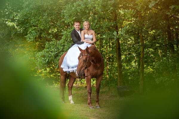 Lovecká chata Horka nad Moravou