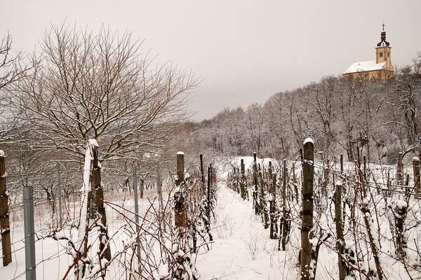 Kaple sv. Floriána a Šebestiána