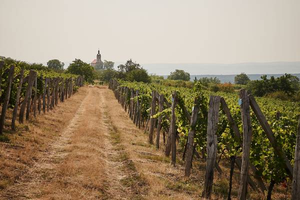 Kaple sv. Floriána a Šebestiána