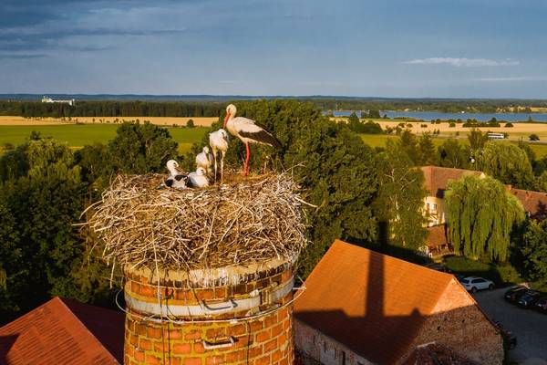 Penzion a restaurace Dvorce Třeboň