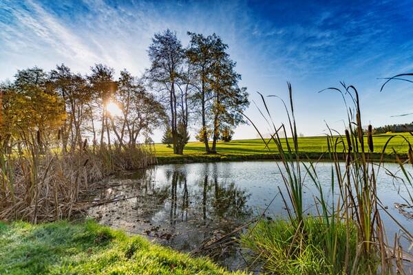 Golf & Wellness Resort Alfrédov